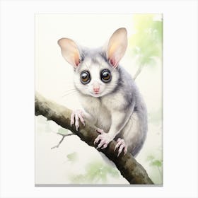 Light Watercolor Painting Of A Sugar Glider 8 Canvas Print
