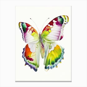 Brimstone Butterfly Decoupage 3 Canvas Print