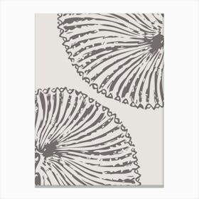 Seashells 1 Canvas Print