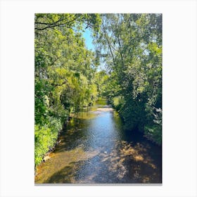 Stream In A Forest Canvas Print