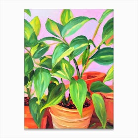 Epipremnum Aureum 3 Impressionist Painting Plant Canvas Print