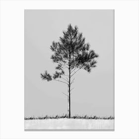 Pine Tree Minimalistic Drawing 3 Canvas Print
