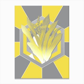 Vintage Cordyline Fruticosa Botanical Geometric Art in Yellow and Gray n.383 Canvas Print