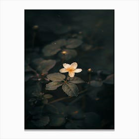 Single Flower In Water 19 Canvas Print