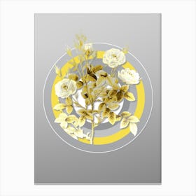 Botanical Rosier Pompon in Yellow and Gray Gradient n.074 Canvas Print