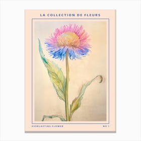 Everlasting Flower French Flower Botanical Poster Canvas Print