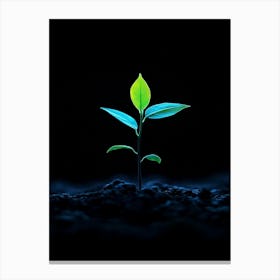 Small Green Plant Canvas Print