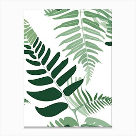 Fern Leaves Canvas Print