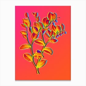 Neon Andromeda Axillaris Bloom Botanical in Hot Pink and Electric Blue n.0144 Canvas Print