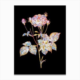 Stained Glass Pink French Roses Mosaic Botanical Illustration on Black n.0236 Canvas Print