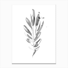 Minimalist Botanical Leaf Illustration Canvas Print