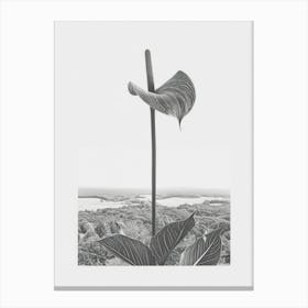 Calla Lilly Flower Photo Collage 2 Canvas Print