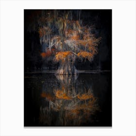 Cypress Reflection Canvas Print
