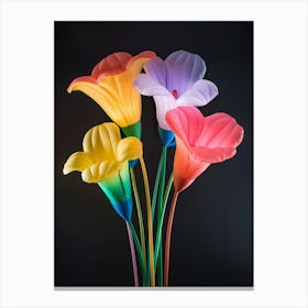 Bright Inflatable Flowers Moonflower 3 Canvas Print