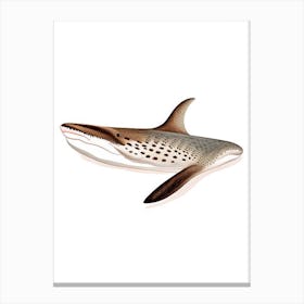 Carpet Shark 2 Vintage Canvas Print