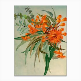 Orange Eucalypt Flowers And Leaves Canvas Print