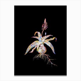 Stained Glass Lachenalia Lanceaefolia Mosaic Botanical Illustration on Black n.0027 Canvas Print