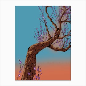 Cherry Blossom Tree Canvas Print