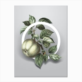 Vintage Apple Minimalist Botanical Geometric Circle on Soft Gray n.0108 Canvas Print
