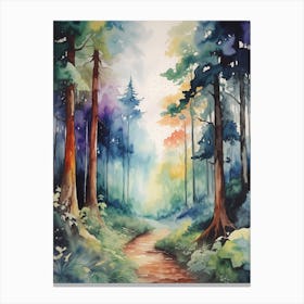 Path In The Woods Canvas Print