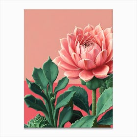 Pink Lotus Canvas Print