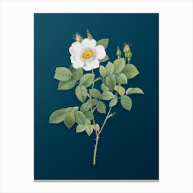 Vintage Twin Flowered White Rose Botanical Art on Teal Blue n.0566 Canvas Print