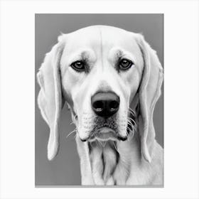 English Foxhound B&W Pencil dog Canvas Print