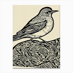 Hermit Thrush Linocut Bird Canvas Print