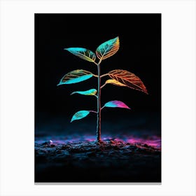 Tree Grows In The Dark Canvas Print