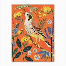 Spring Birds American Kestrel 3 Canvas Print