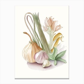 Garlic Spices And Herbs Pencil Illustration 1 Canvas Print