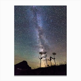 The Milky Way From Montana Canvas Print