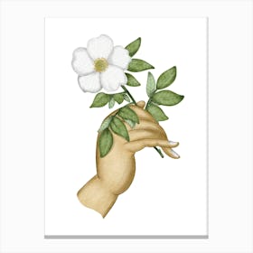 For you white rose Canvas Print