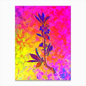 Pink Flower Branch Botanical in Acid Neon Pink Green and Blue Canvas Print