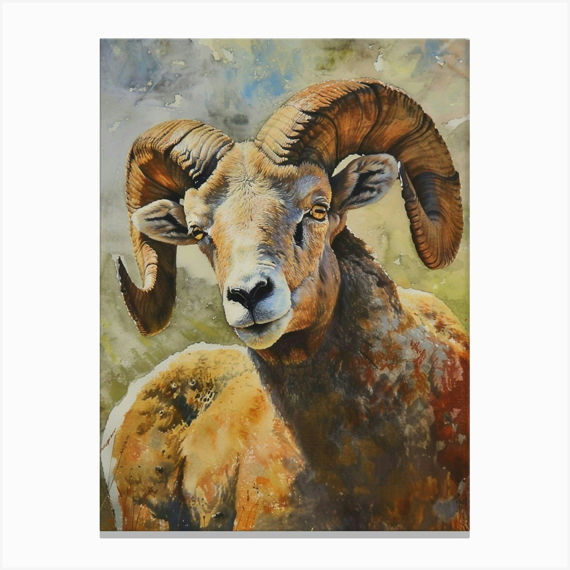 Ram Pastel Watercolour 1 Canvas Print by Critter Crafts