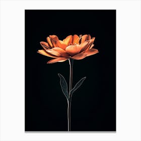 Flower On A Black Background 6 Canvas Print