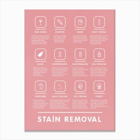 Stain Removal Instruction Mid Century Modern Style Laundry  Canvas Print