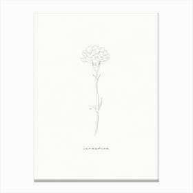 Carnation Line Drawing Canvas Print