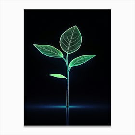 Green Leaf Growing On Black Background Canvas Print