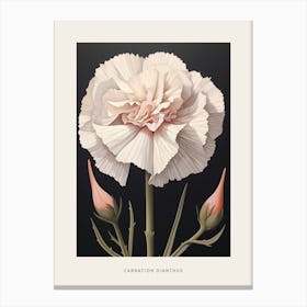 Flower Illustration Carnation Dianthus 4 Poster Canvas Print
