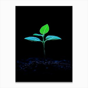 Young Green Plant On Black Background 5 Canvas Print