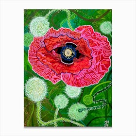 Red Poppy with Seed Pods Canvas Print