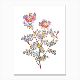 Stained Glass Variegated Burnet Rose Mosaic Botanical Illustration on White n.0115 Canvas Print