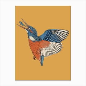 Kingfisher Canvas Print