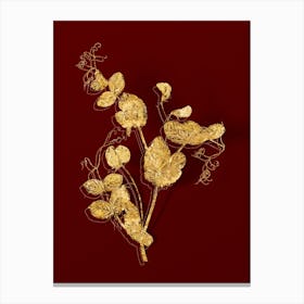 Vintage White Pea Flower Botanical in Gold on Red n.0226 Canvas Print