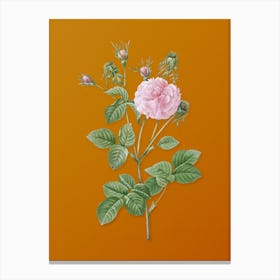 Vintage Pink Agatha Rose Botanical on Sunset Orange n.0804 Canvas Print