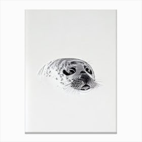 Ringed Seal Black & White Drawing Canvas Print