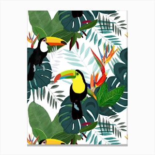 Toucan Bird Of Paradise Canvas Print
