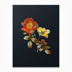 Vintage Sweetbriar Rose Botanical Watercolor Illustration on Dark Teal Blue n.0510 Canvas Print