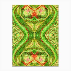 Kaleidoscope 7 Canvas Print